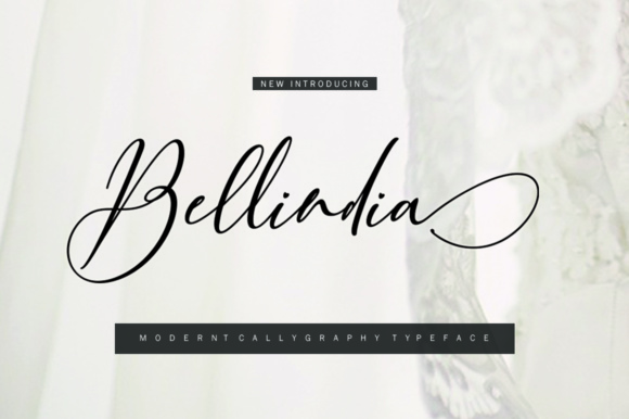 Bellindia: The Script Font That Transforms Small Business Branding