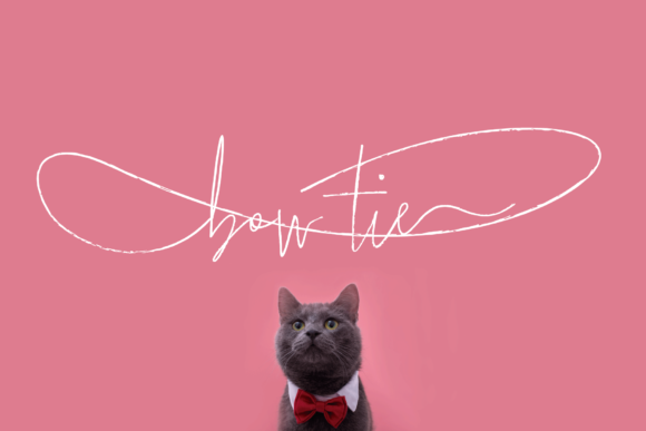 Bow Tie Typeface: Elevating Digital Brand Identity