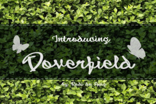 Doverfield: A Designer’s Honest Review of This Script Amp