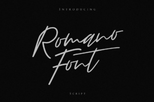 Romano Typeface Review: Elevating Digital Brand Identity
