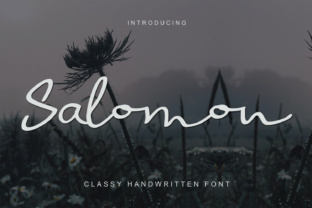 Salomon Typeface Review: Elevating Campaign Visuals with Script Amp